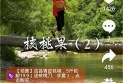 拍呱呱短视频文案,捕捉生活瞬间，展现个性风采